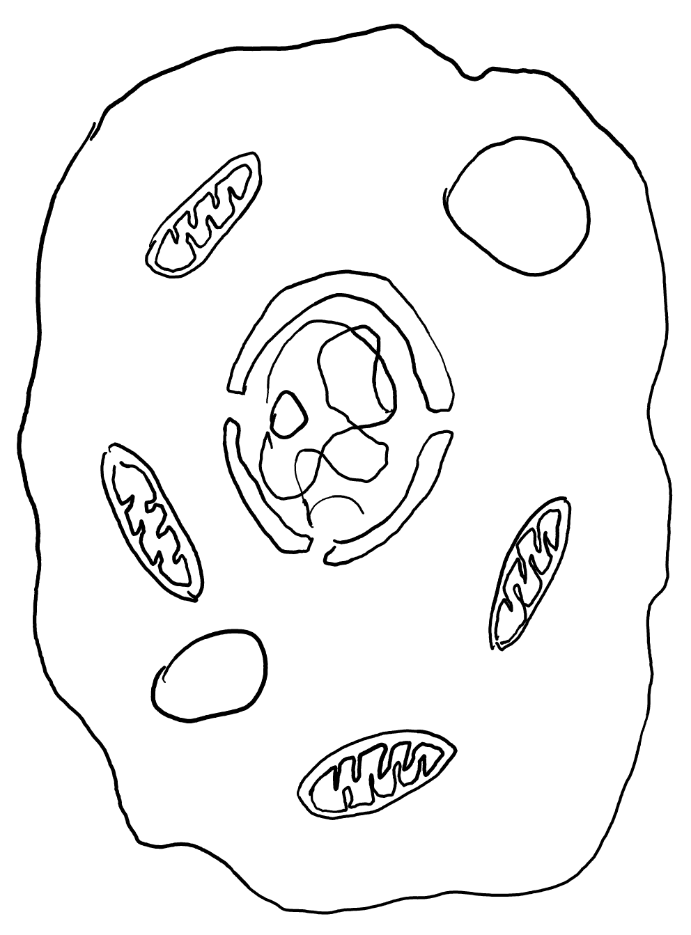 A cell