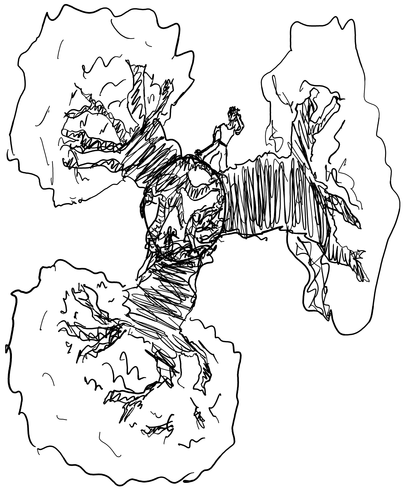 Baobab trees