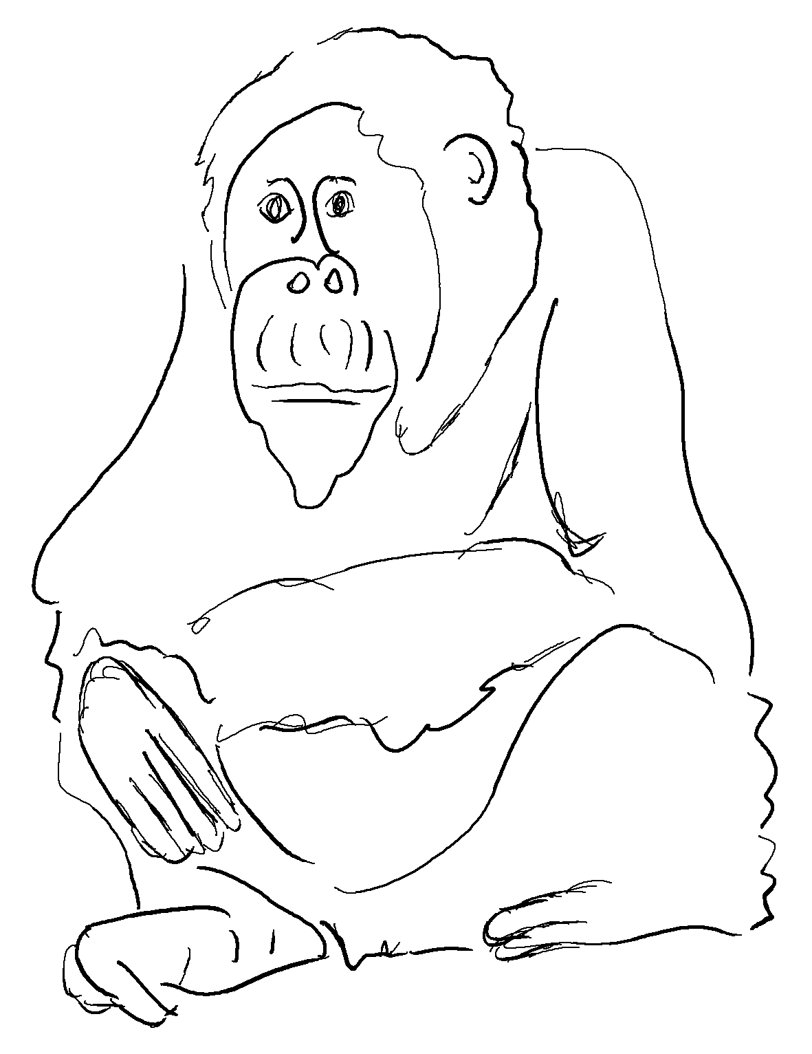 The Orangutan